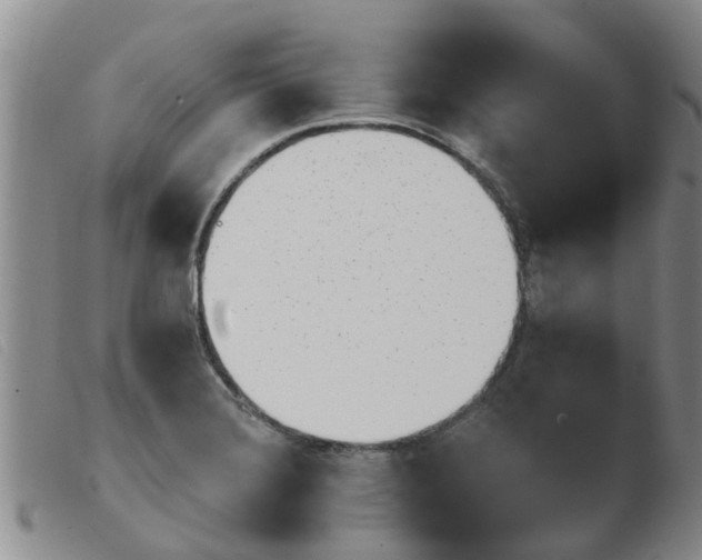 X0000103931372200809191113