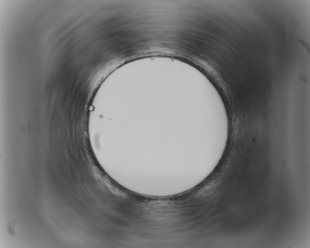 X0000103931373200809191113