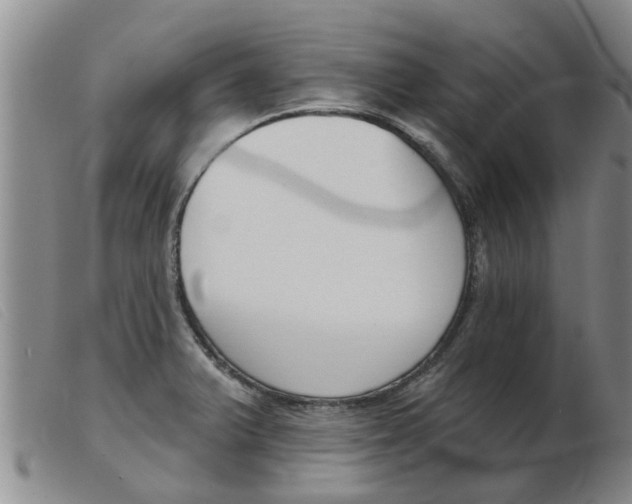 X0000103931375200809191113