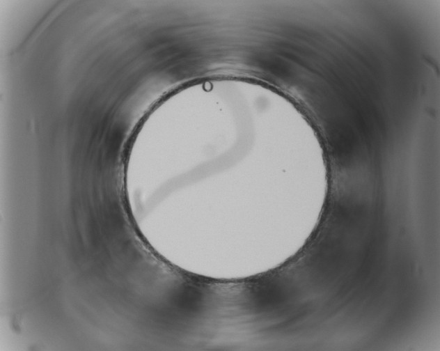 X0000103931376200809191113