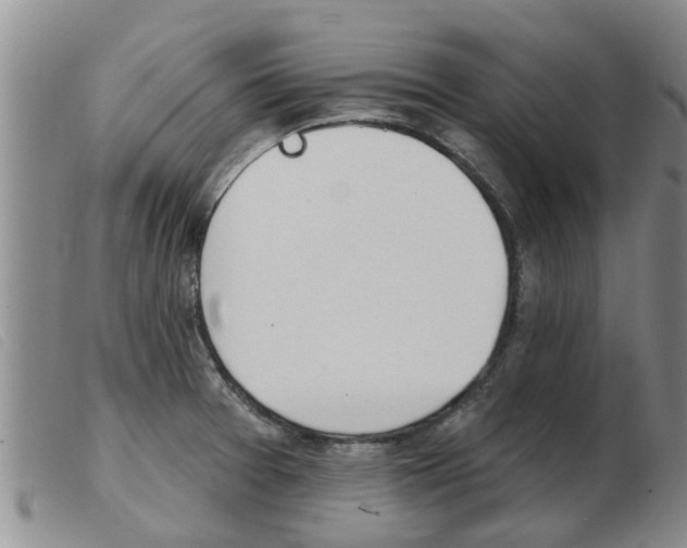 X0000103931377200809191113