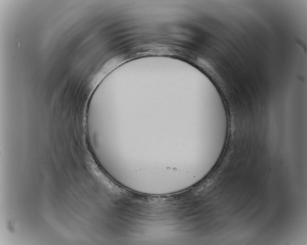 X0000103931378200809191113