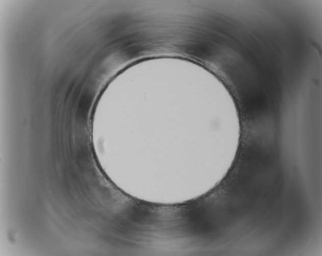 X0000103931380200809191113