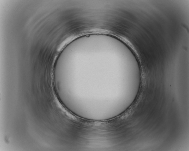 X0000103931381200809191113