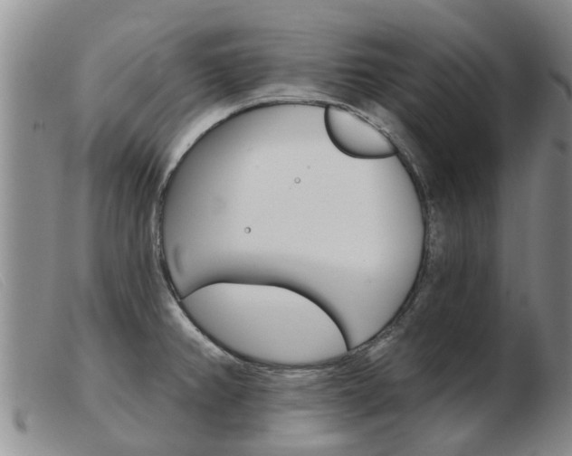 X0000103931382200809191113