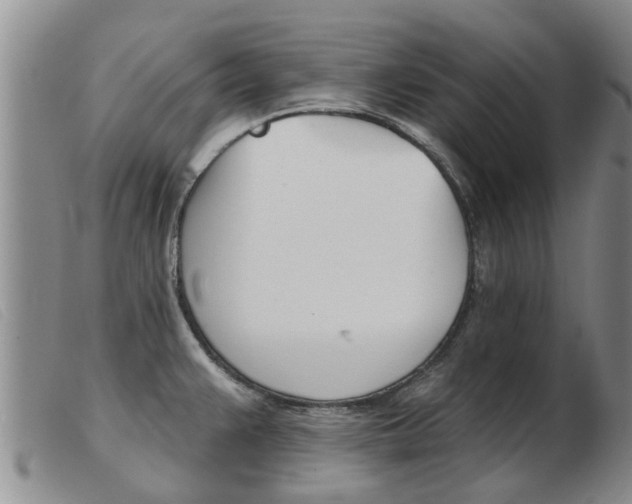 X0000103931383200809191113