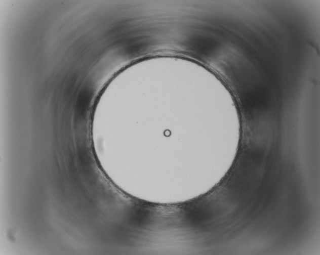 X0000103931384200809191113