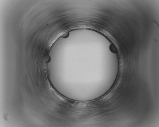 X0000103931385200809191113