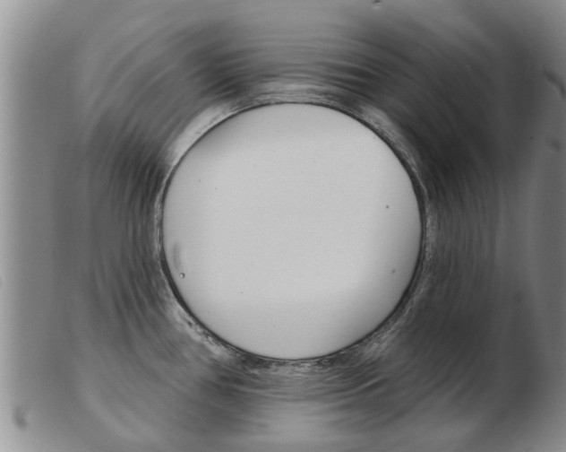 X0000103931386200809191113