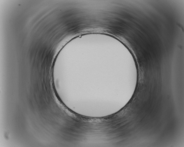 X0000103931389200809191113