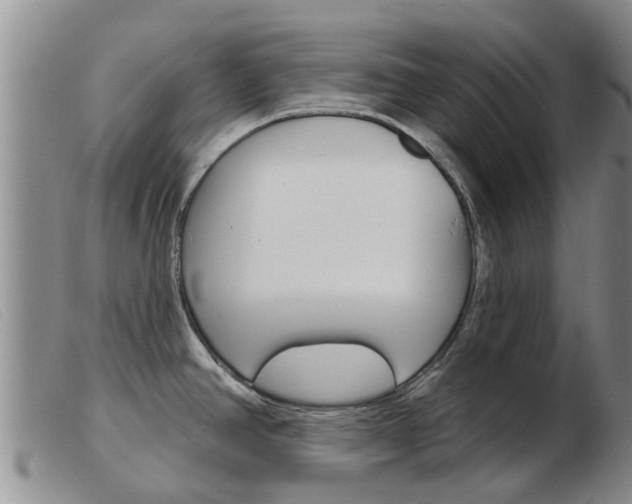 X0000103931390200809191113