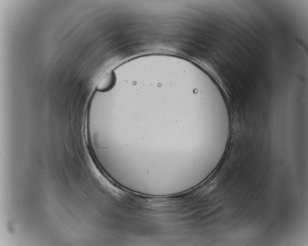 X0000103931391200809191113