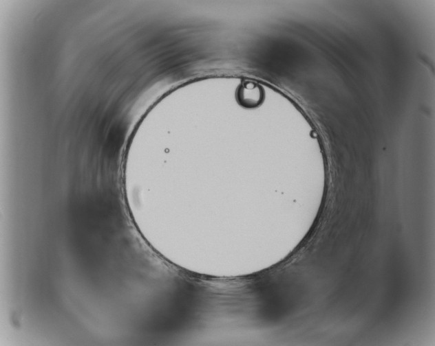 X0000103931392200809191113