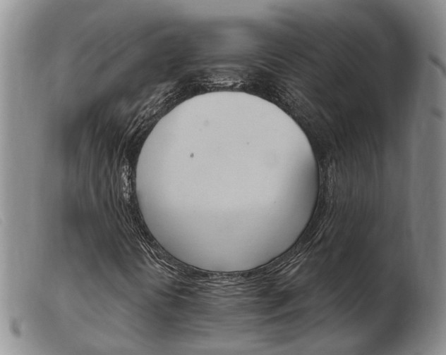 X0000103931394200809191112