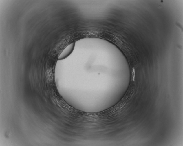 X0000103931395200809191112