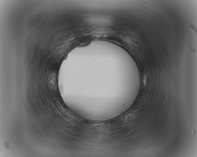 X0000103931396200809191112