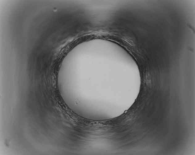 X0000103931398200809191112