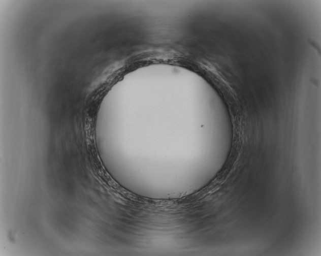 X0000103931399200809191112