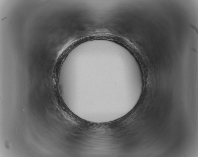 X0000103931400200809191112