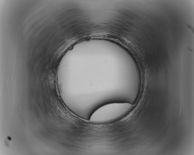 X0000103931401200809191112