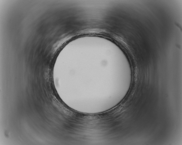 X0000103931404200809191112