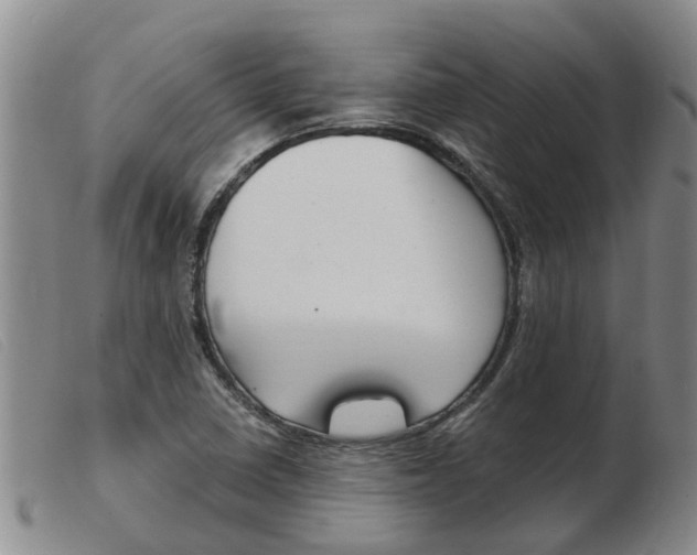 X0000103931410200809191112