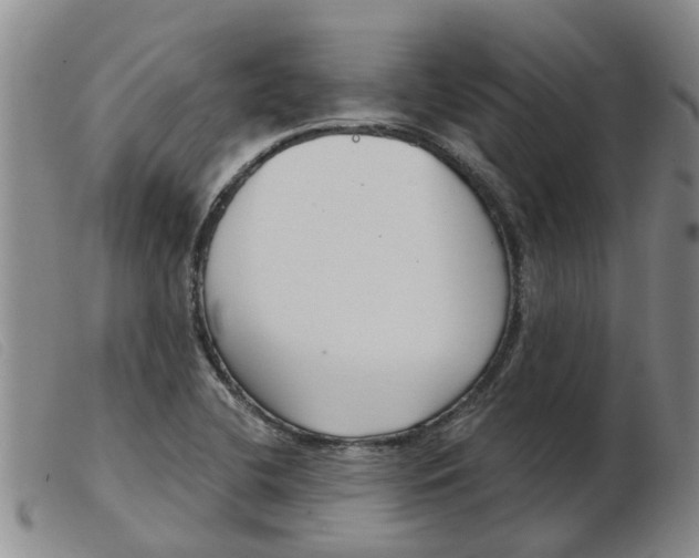 X0000103931412200809191112