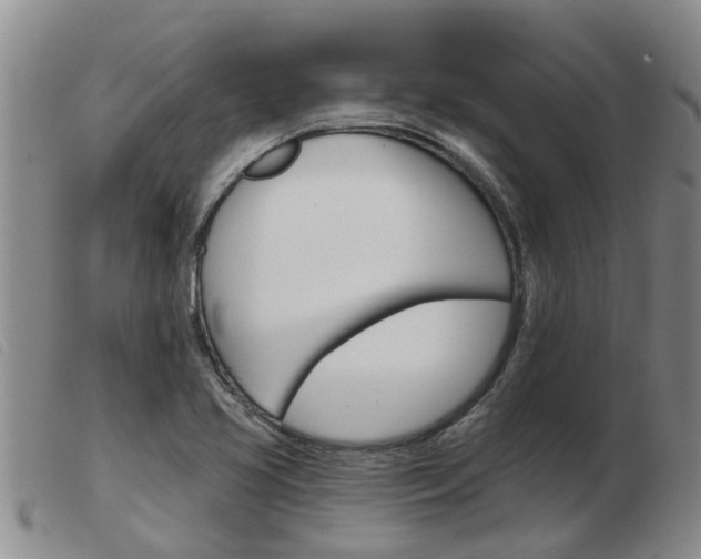 X0000103931413200809191112