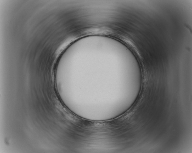 X0000103931419200809191112
