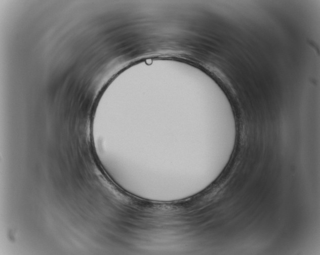 X0000103931420200809191112