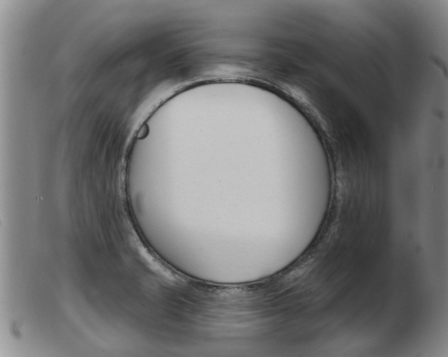 X0000103931421200809191112