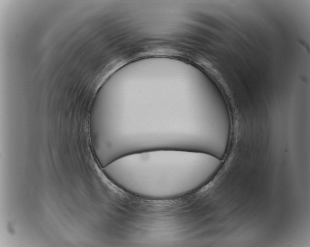 X0000103931425200809191112