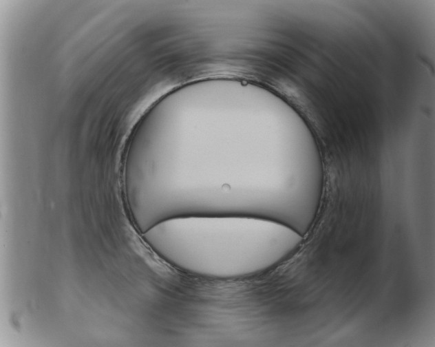 X0000103931427200809191112