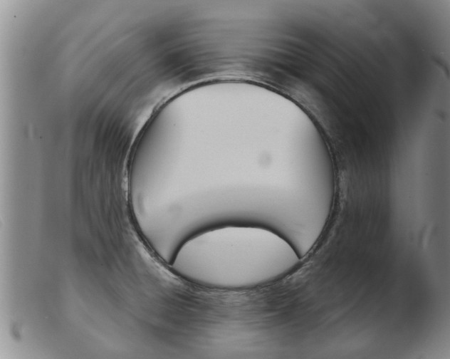 X0000103931428200809191112