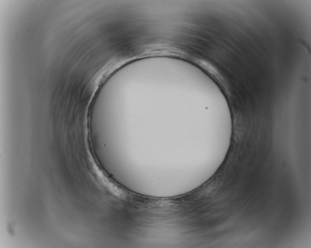 X0000103931431200809191112