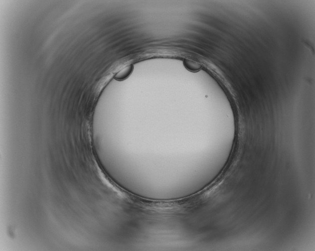 X0000103931433200809191112