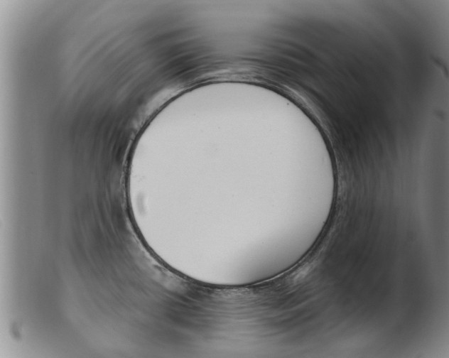 X0000103931434200809191112