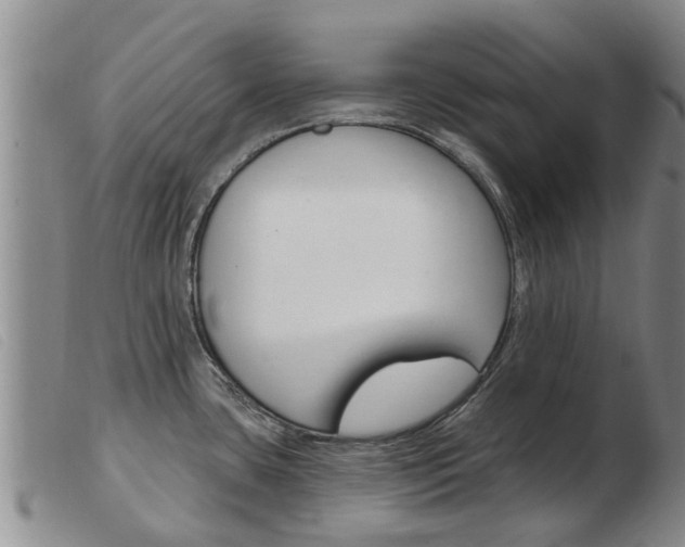X0000103931435200809191112
