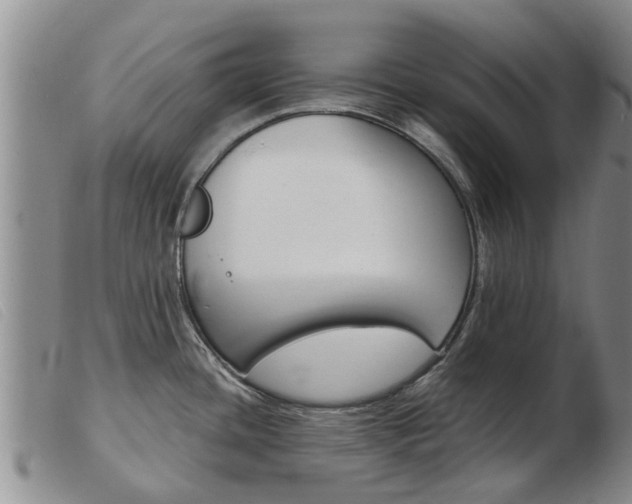 X0000103931436200809191113