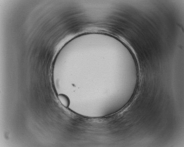X0000103931437200809191113