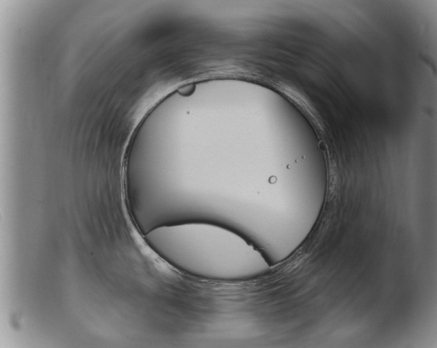X0000103931439200809191113