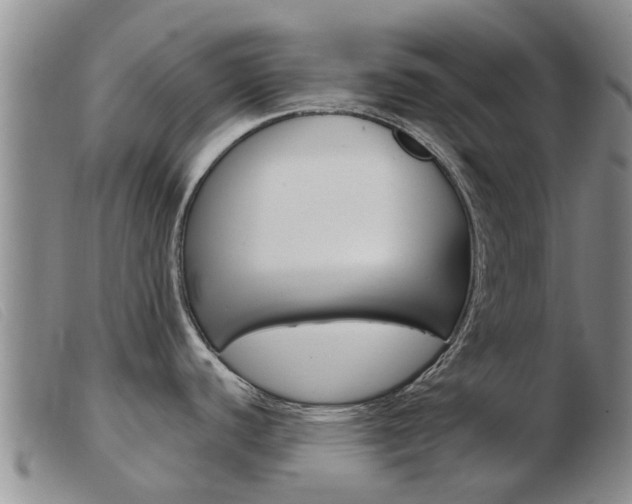 X0000103931440200809191113