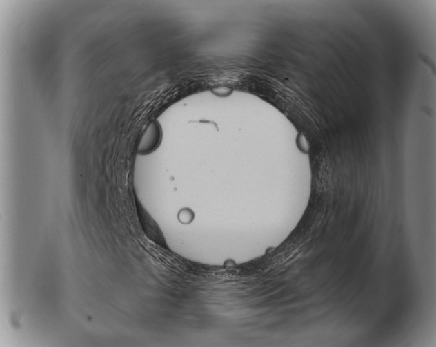 X0000103931441200809191112