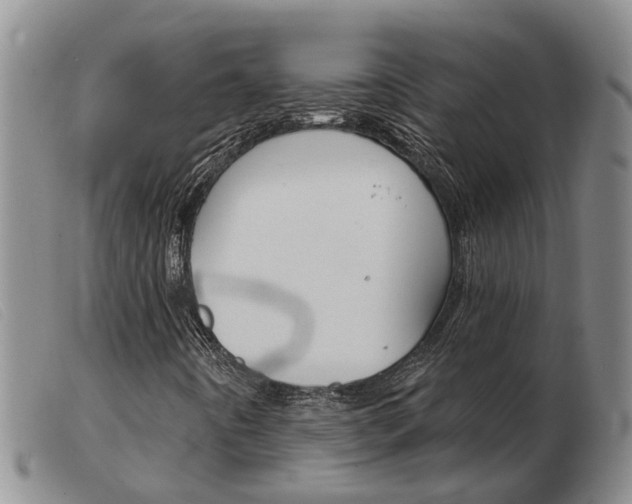 X0000103931442200809191112