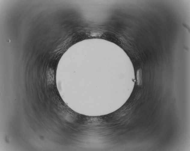 X0000103931443200809191112