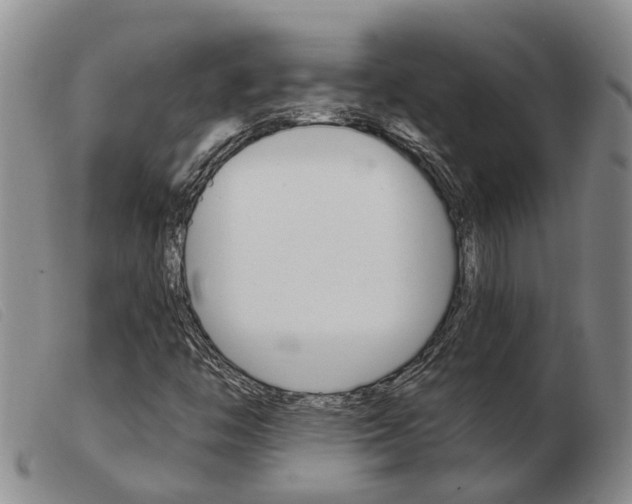 X0000103931446200809191112