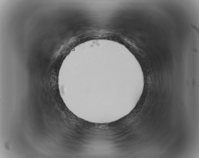 X0000103931447200809191112
