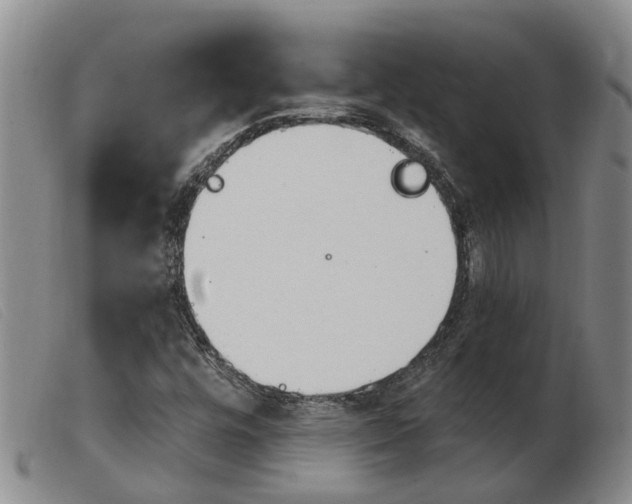 X0000103931448200809191112