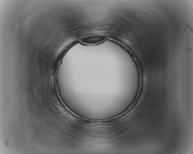 X0000103931450200809191112