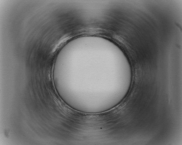 X0000103931451200809191112